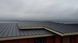 Best Solar Panel Roofing Installation  in Vienna, IL